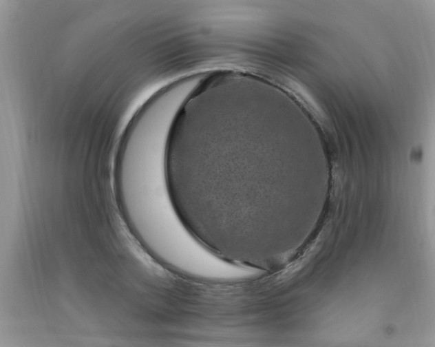 X0000092030788200709201611