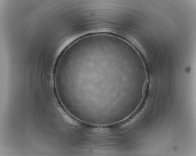 X0000092030789200709201611