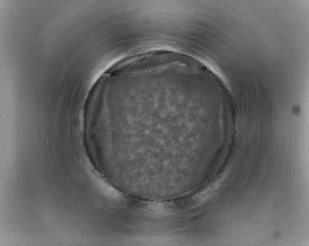 X0000092030790200709201611