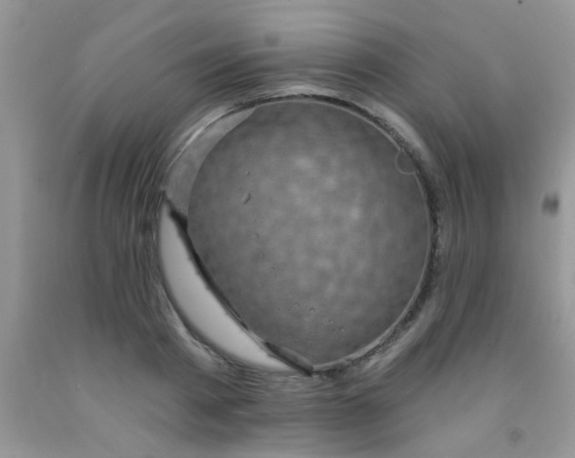 X0000092030793200709201611