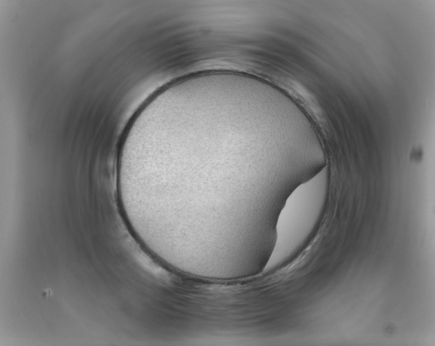 X0000092030796200709201611