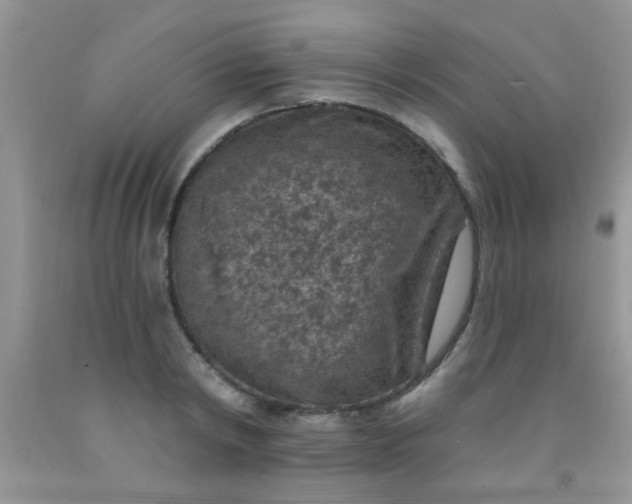 X0000092030798200709201611