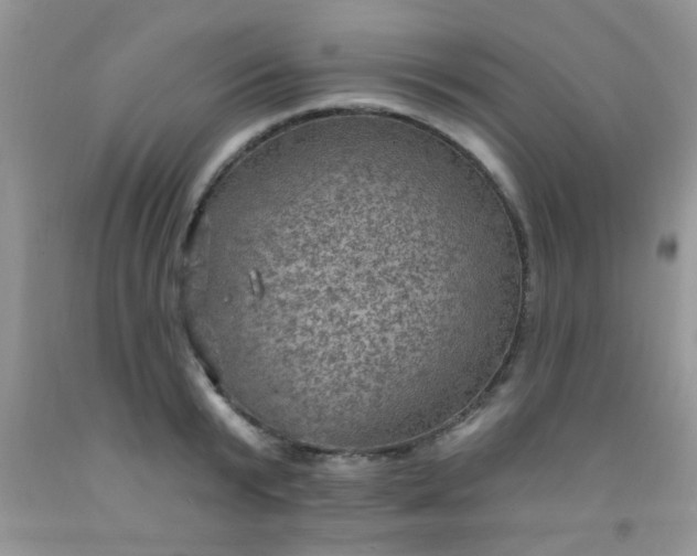 X0000092030799200709201611