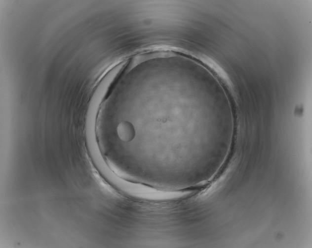 X0000092030801200709201611