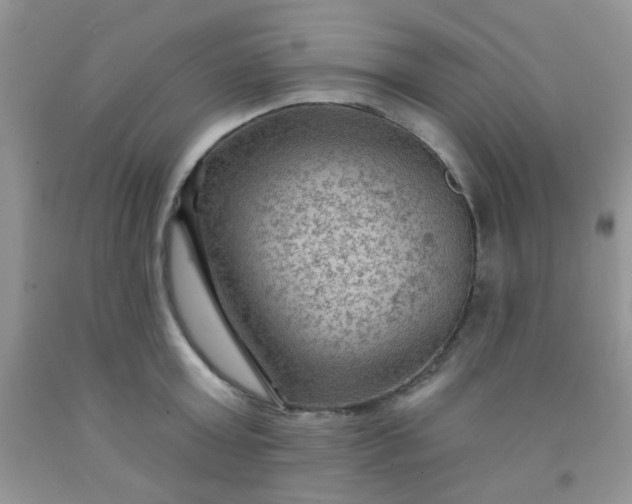 X0000092030803200709201611