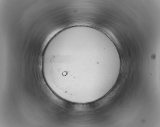 X0000092030804200709201611