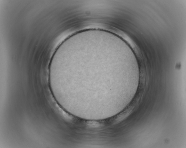 X0000092030807200709201611