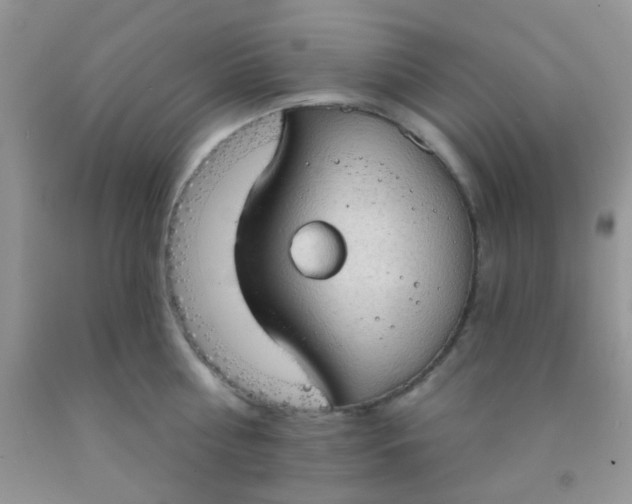 X0000092030810200709201611