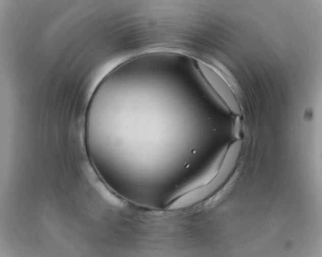 X0000092030812200709201610