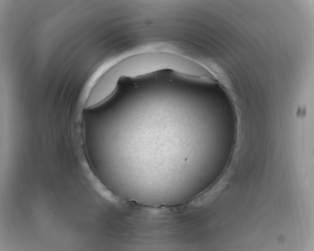 X0000092030816200709201610