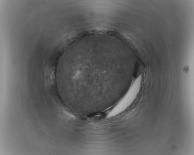 X0000092030818200709201610