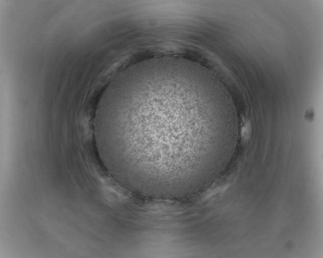 X0000092030819200709201610