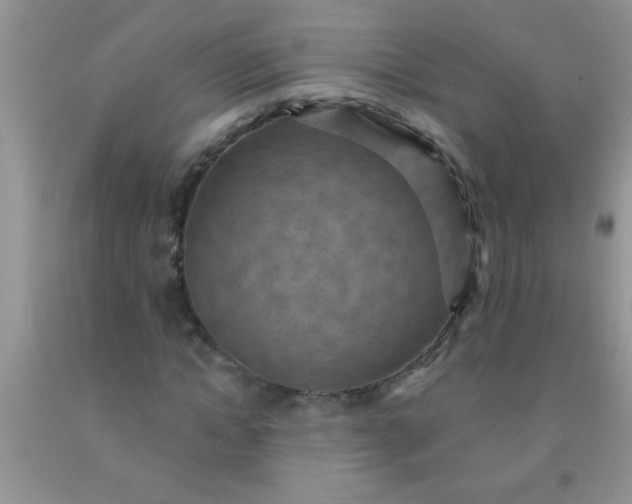 X0000092030822200709201610