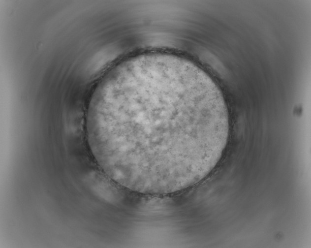 X0000092030824200709201610