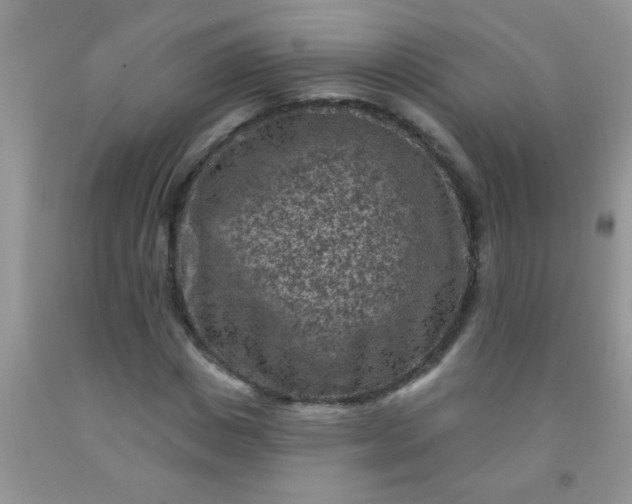 X0000092030825200709201610