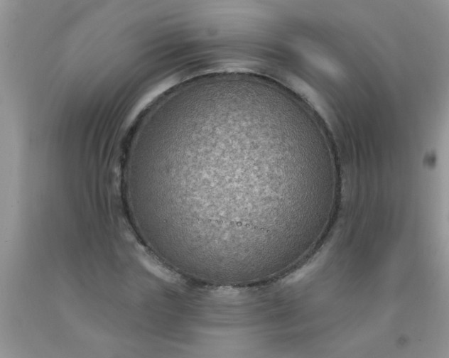 X0000092030827200709201610