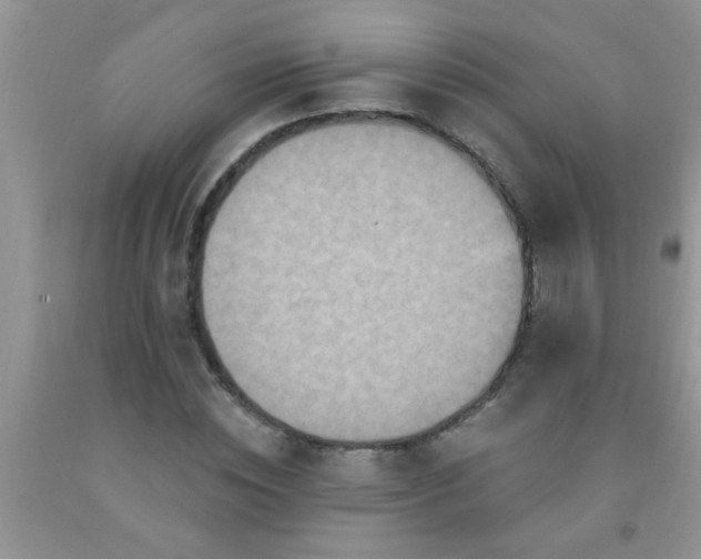 X0000092030828200709201610