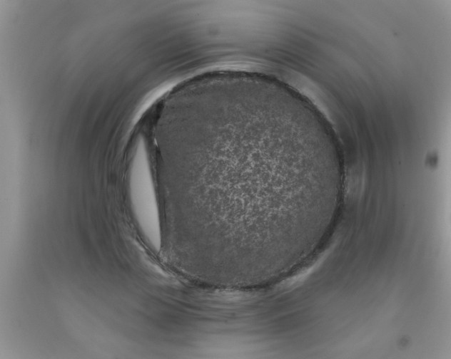 X0000092030829200709201610