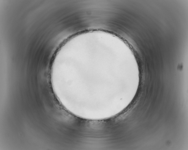 X0000092030832200709201610