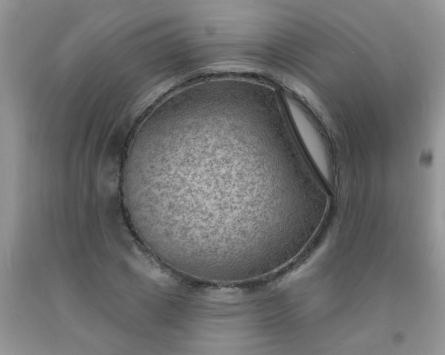 X0000092030833200709201610