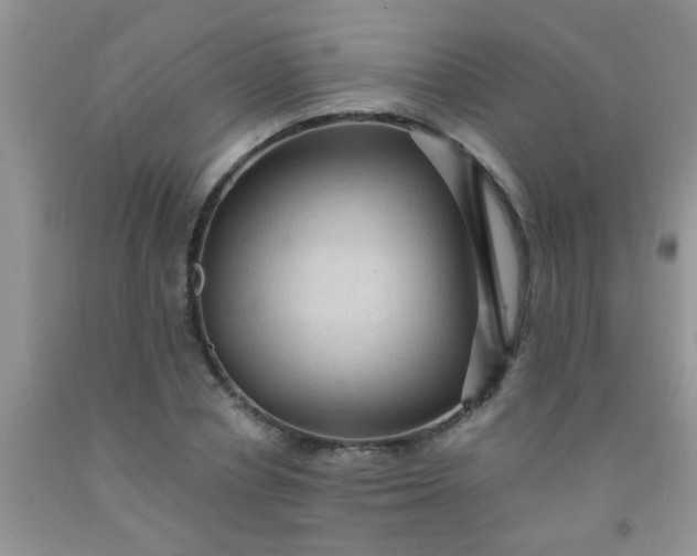 X0000092030834200709201610