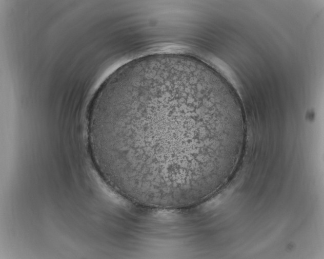 X0000092030835200709201610