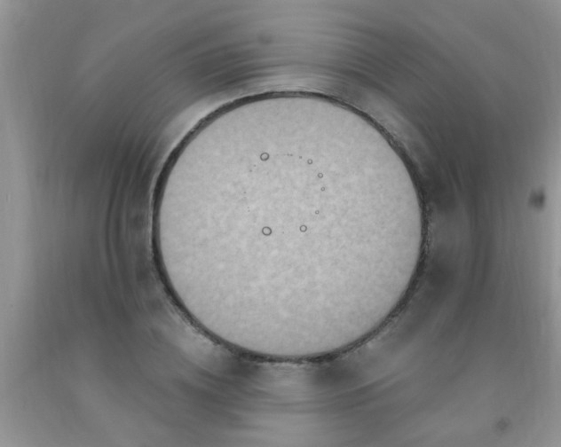 X0000092030836200709201610