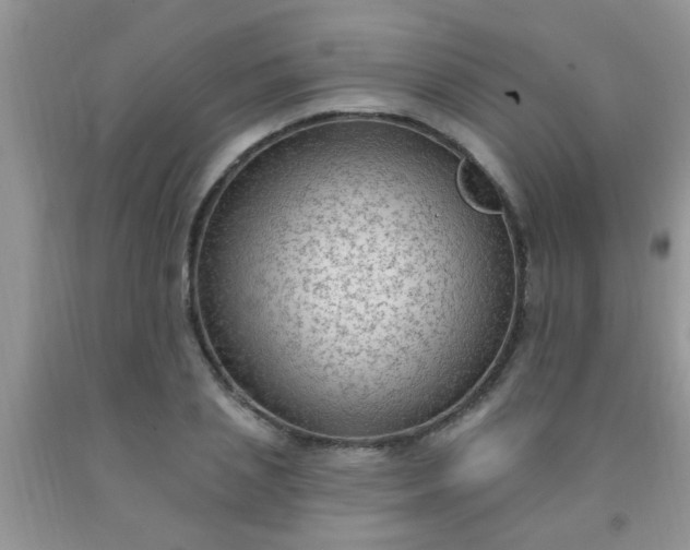 X0000092030837200709201610