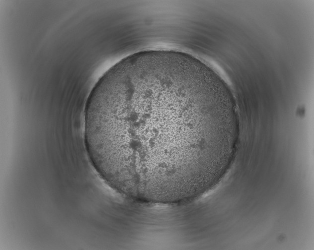 X0000092030839200709201610