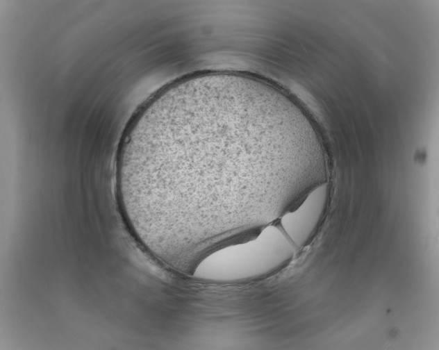 X0000092030840200709201610