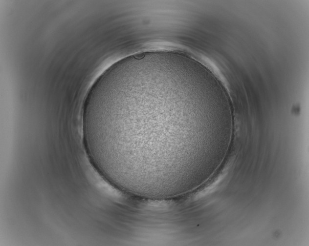 X0000092030843200709201610