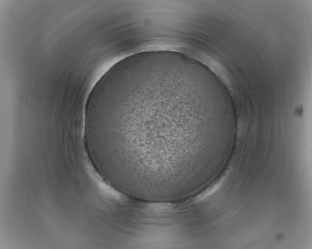 X0000092030844200709201610