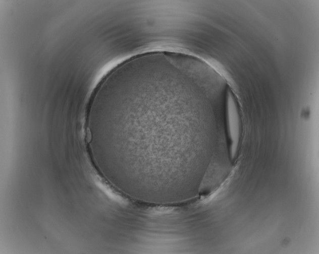 X0000092030846200709201610