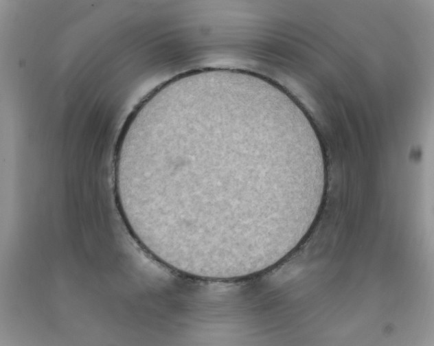 X0000092030848200709201610