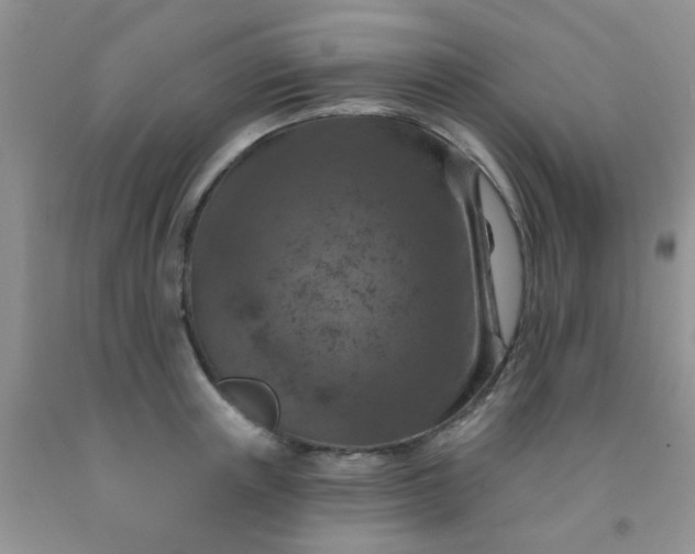 X0000092030851200709201610