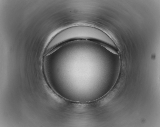 X0000092030854200709201610