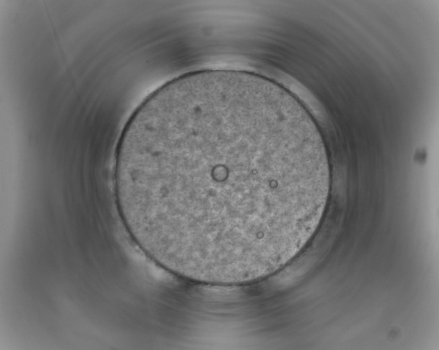 X0000092030856200709201610