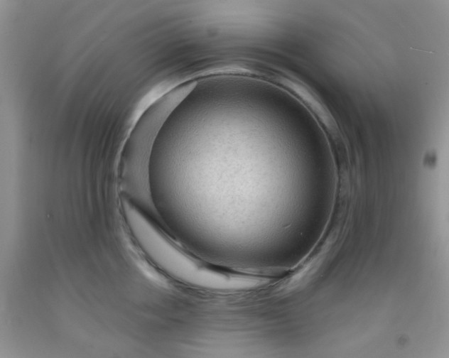 X0000092030858200709201610