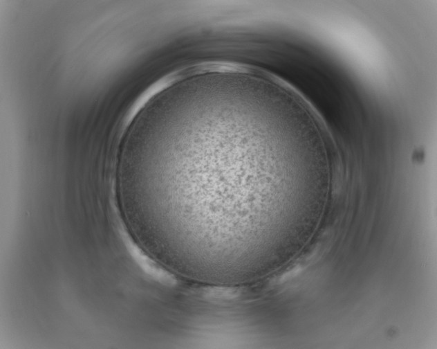 X0000092030861200709201610