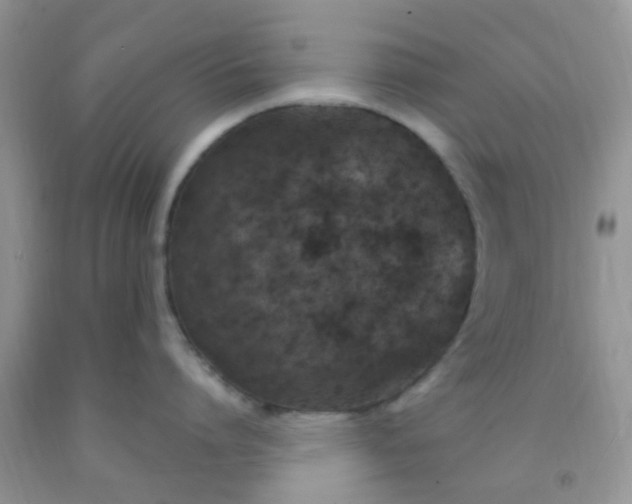 X0000092030864200709201610