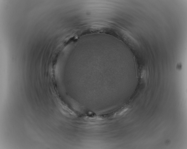 X0000092030868200709201610