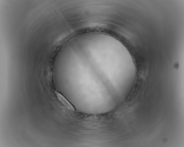 X0000092030869200709201610