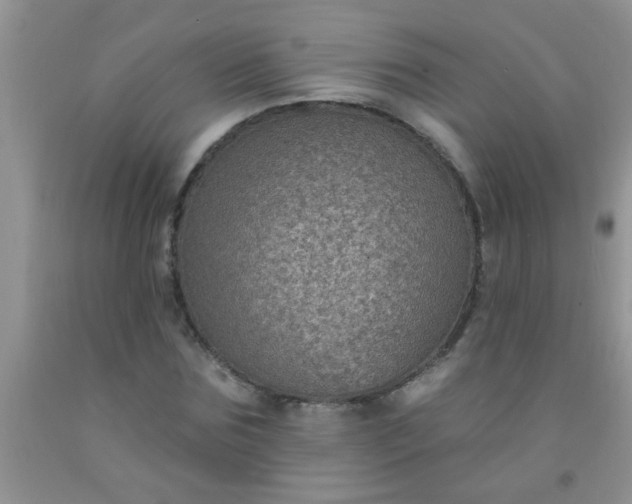 X0000092030875200709201610