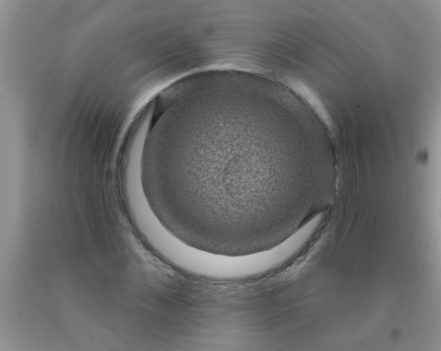 X0000092030876200709201610