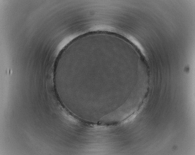 X0000092030877200709201610