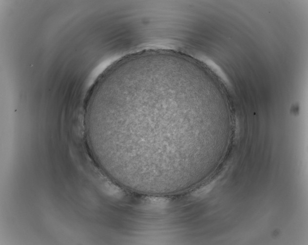 X0000092030878200709201610