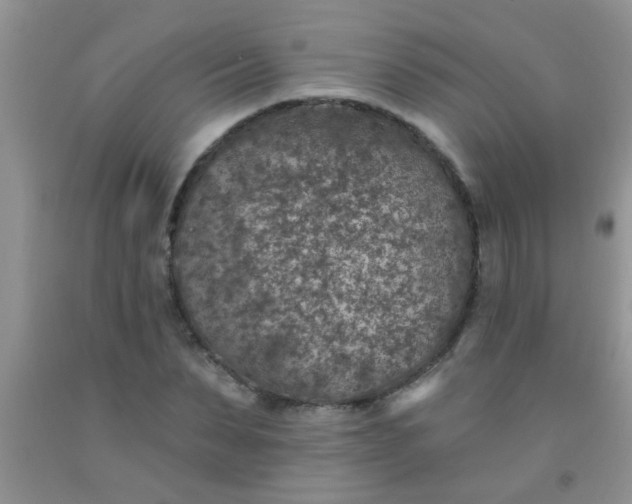 X0000092030879200709201610