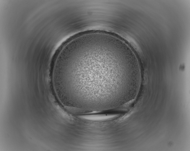 X0000092030880200709201610