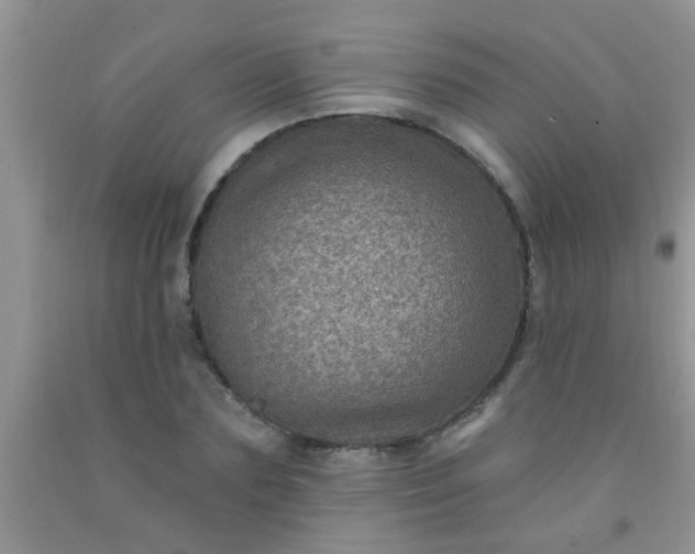 X0000092030883200709201610