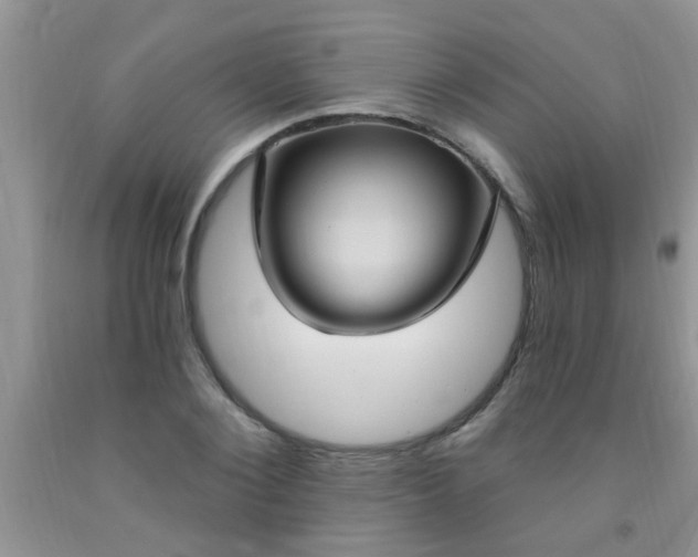 X0000092030884200709201610